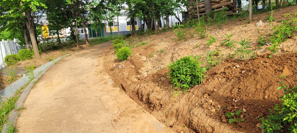 연천군 전곡읍 공원내 흙막이 설치-53-2.jpg